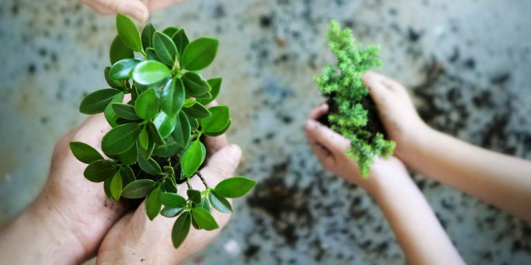 Bild mit Link zum Hilfsangebot für Erwachsene mit LRS - Bildquelle: Ionos SE stock photos